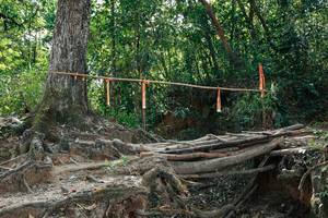 BIB: 
                            <button type="button" onclick="openModal(27802359)" class="btn btn-primary btn-sm float-right btn-popup" data-toggle="modal" data-target=".modal-high-quality">
                        <i class="fas fa-shopping-cart"></i> Add to Cart
                    </button>
                                            <button type="button" onclick="isThisMe(27802359, true)" class="btn btn-success btn-sm float-right btn-popup btn-isme hidden" data-toggle="tooltip" data-placement="bottom" title="นี่คือรูปของคุณใช่ไหม คลิกที่นี่เพื่อเอาเข้าอัลบั้ม">
                        <i class="fas fa-plus"></i> Add to album
                    </button>
                    <button type="button" onclick="isThisMe(27802359, false)" class="btn btn-warning btn-sm float-right btn-popup btn-isnotme hidden">
                        <i class="fas fa-ban"></i> Remove from album
                    </button>